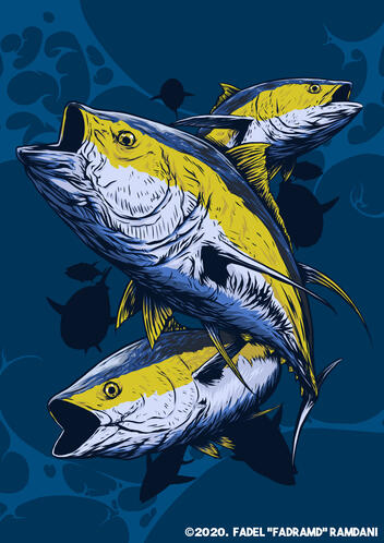 Yellow-Fin Tuna