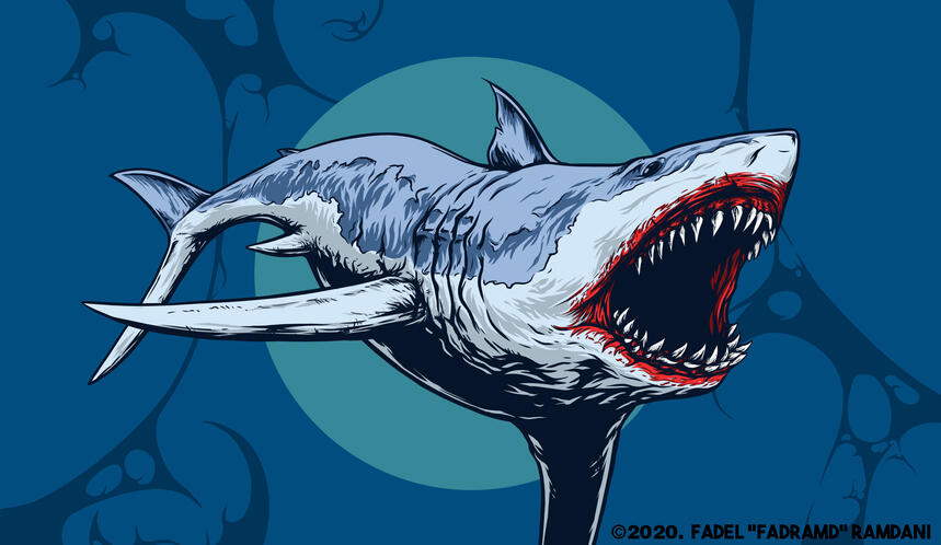 Shark